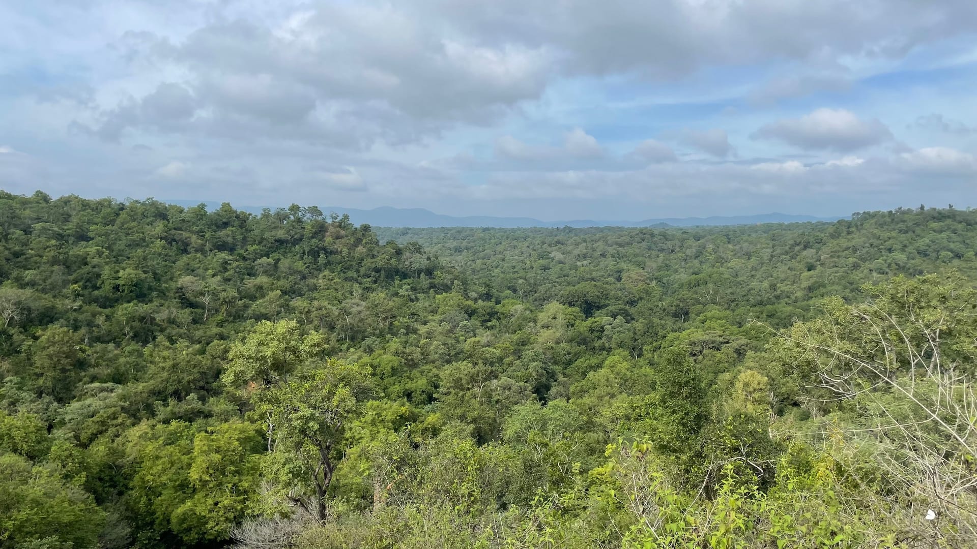 RDC community work 1