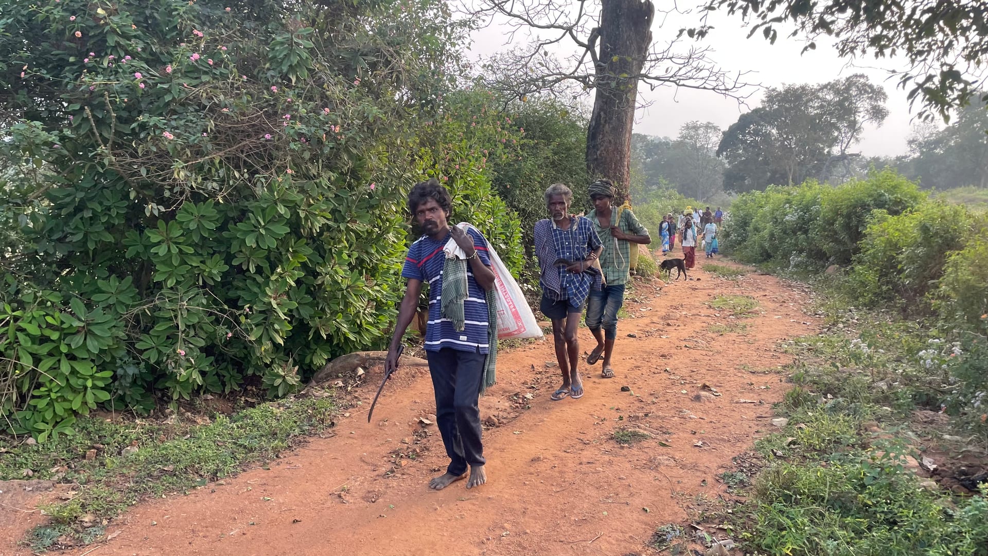 RDC community work 5